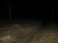 Chicago Ghost Hunters Group investigates Bachelors Grove (13).JPG